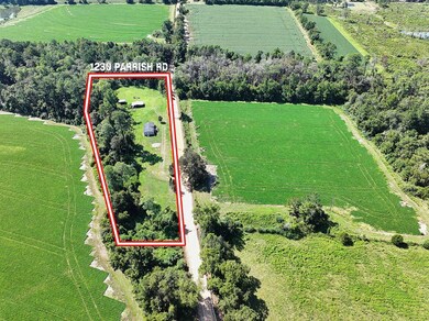 1230 Parrish Rd, Pavo, GA 31778 - photo 3
