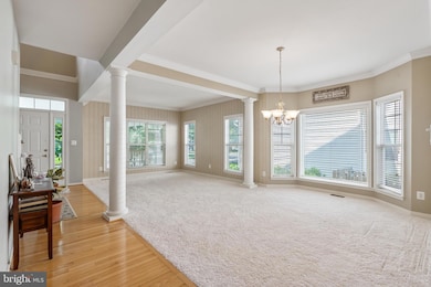 43438 Mink Meadows St, Chantilly, VA 20152 - photo 5