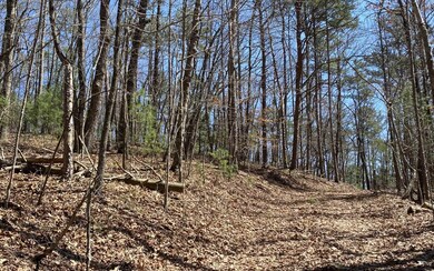 000 Flagpole Rd, Ellijay, GA 30540 - photo 4