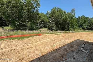 4269 Olivia Cir W, Olive Branch, MS 38654 - photo 4