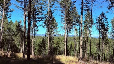 Nhn Soaring Eagle Dr, Whitefish, MT 59937 - photo 5