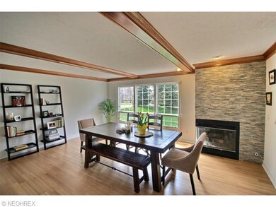 Dining room with gas firepace
