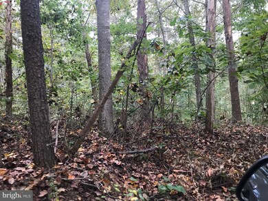 0 Brinkley Sperryville unit VARP2000412, Boston, VA 22713 - photo 6