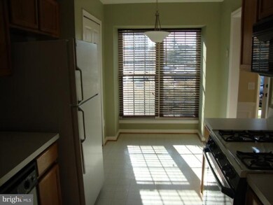 46920 Courtyard Square unit 100, Sterling, VA 20164 - photo 5