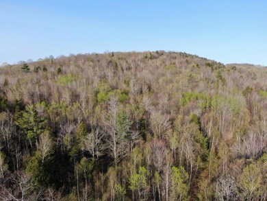 U04-003 Verril Rd, Hanover, ME 04237 - photo 7