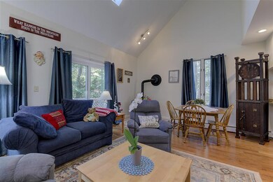 186 E Chocorua River Dr, Tamworth, NH 03875 - photo 3