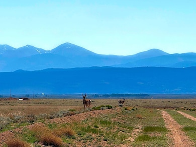 Pecos Trail, Jaroso, CO 81138 - photo 2