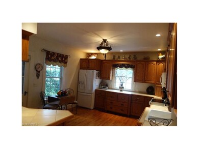 60 W Walnut St, Jefferson, OH 44047 - photo 7