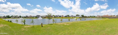 Pond Panorama 1