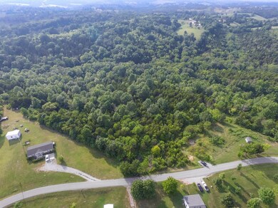 802 Old Dixville Rd, Harrodsburg, KY 40330 - photo 2