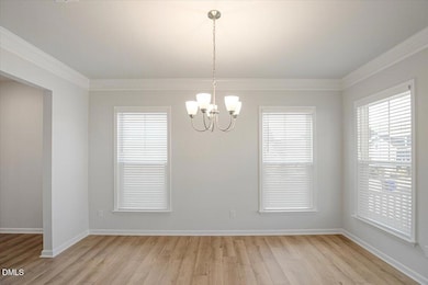 53 Circle City Way, Pittsboro, NC 27312 - photo 7