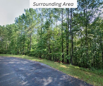 839 Trinto Dr, Ranger, GA 30734 - photo 2