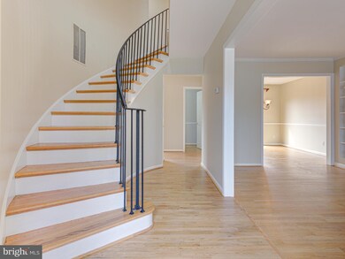 8347 Forrester Blvd, Springfield, VA 22152 - photo 5