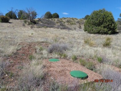septic tank looking to N end of lot