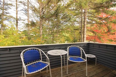 4 Sunnyside Way unit 4, Waterville Valley, NH 03215 - photo 7