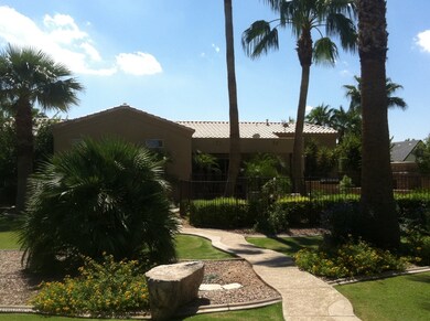 Resort Style Yard