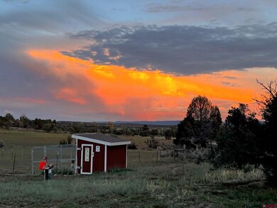 312 Hollow Ridge Rd, Durango, CO 81301 - photo 5