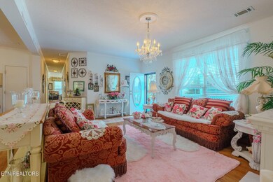 289 Carr Gap Rd, Speedwell, TN 37870 - photo 2