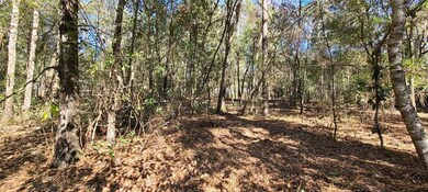 1219 E Canvas Lane 2 ANDREA SIPLE GARCIA