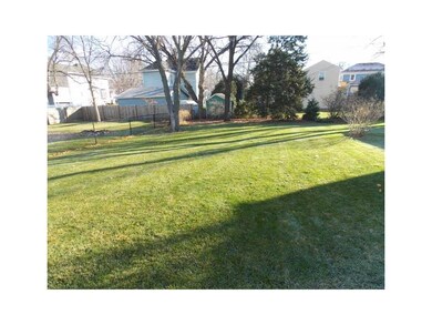 Yard.