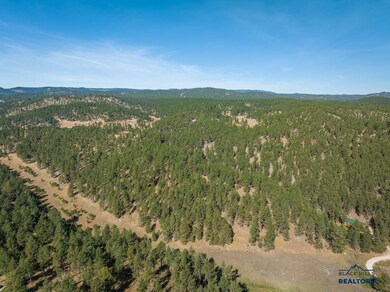 TBD Wind Dance Rd unit TBD Wind Dance Ranch, Custer, SD 57730 - photo 3