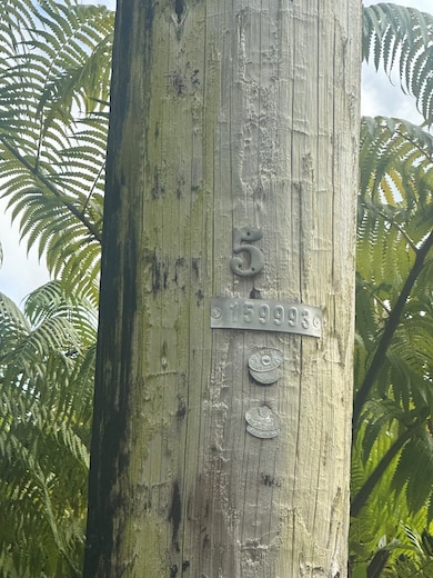 18-1272 Kauai St, Mountain View, HI 96771 - photo 2