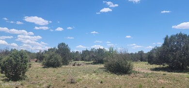 530 W Highland St, Ash Fork, AZ 86320 - photo 6