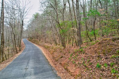 tr 6 Old Bucktown Rd, Ellijay, GA 30536 - photo 6