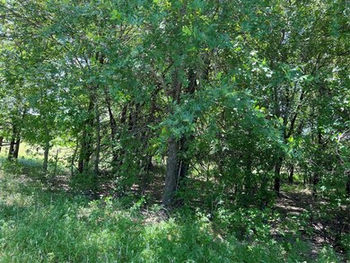 Tract 3 County Road 2175, Decatur, TX 76234 - photo 2