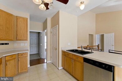 402 Lilys Way, Winchester, VA 22602 - photo 5