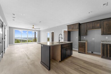 24 Aqua Vista Ln unit 1, Branson, MO 65616 - photo 4