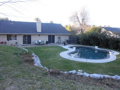 Back Yard Pool