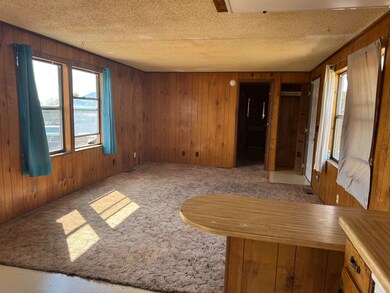 22 Little Echo Dr, Battlement Mesa, CO 81635 - photo 3