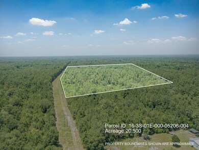 xx Acorn Dr, Crawfordville, FL 32327 - photo 6