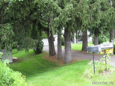 Tree lined driveway