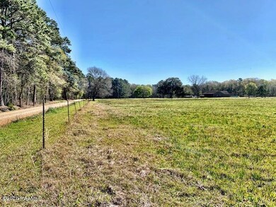 Tbd Mathew Whitney Rd, Basile, LA 70515 - photo 3