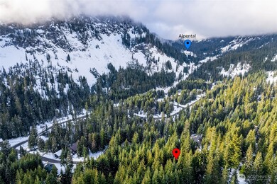 16 Ober Strasse, Snoqualmie Pass, WA 98068 - photo 5