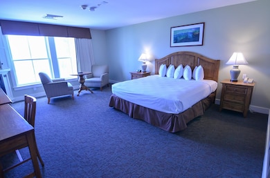 618/620 QIII Jackson Gore Adams House unit 618/620 QIII, Ludlow, VT 05149 - photo 2