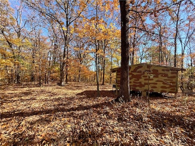 21710 Wc 274, Winslow, AR 72959 - photo 5