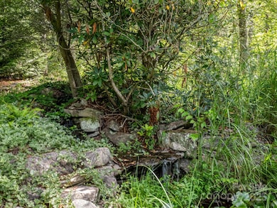 194 Bear Creek Dr, Fletcher, NC 28732 - photo 5