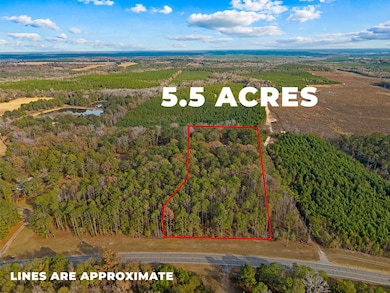 84 Weaver Ln, Buena Vista, GA 31803 - photo 3