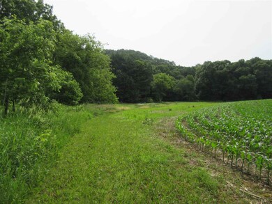 16512 Hope Rd, Camp Douglas, WI 54618 - photo 5