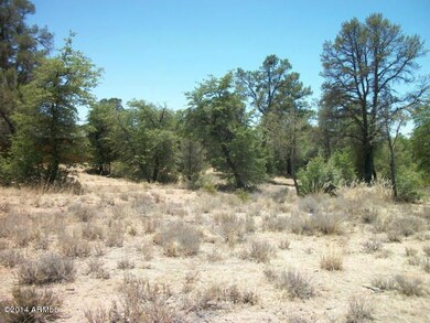 400 W Forest Dr unit 15, Payson, AZ 85541 - photo 4