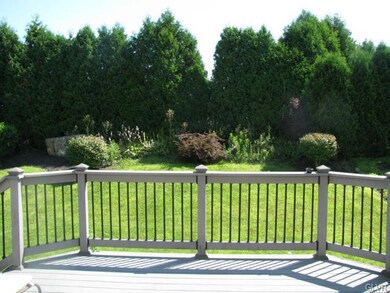 view from deck of rear yard