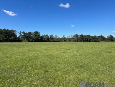 01 Old Highway 51, Amite, LA 70422 - photo 4