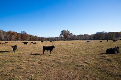 7252 Northwest Hwy, Fairview, TN 37062 - photo 7