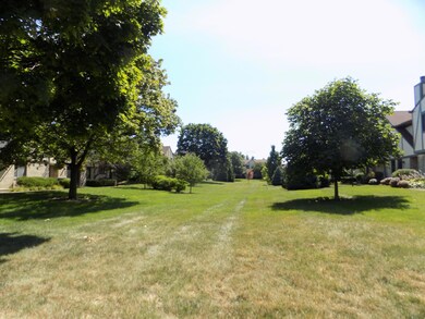 Greenspace