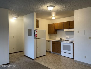 3400 Eureka St unit 312, Anchorage, AK 99503 - photo 2