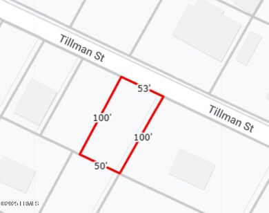 14 Tillman St, Bluffton, SC 29910 - photo 4