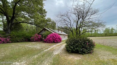 IMG_0048(1)